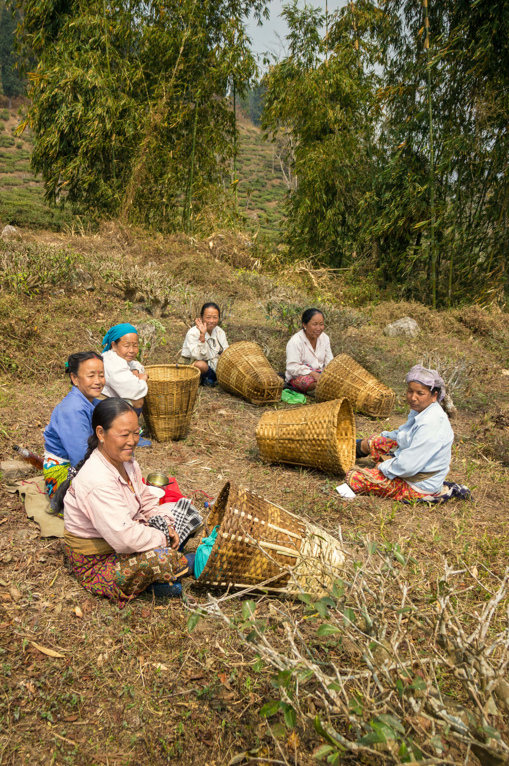 IMG_5395-as-Smart-Object-1-copy